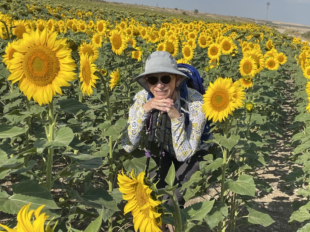Terri Langhans in Spanish sunflowers